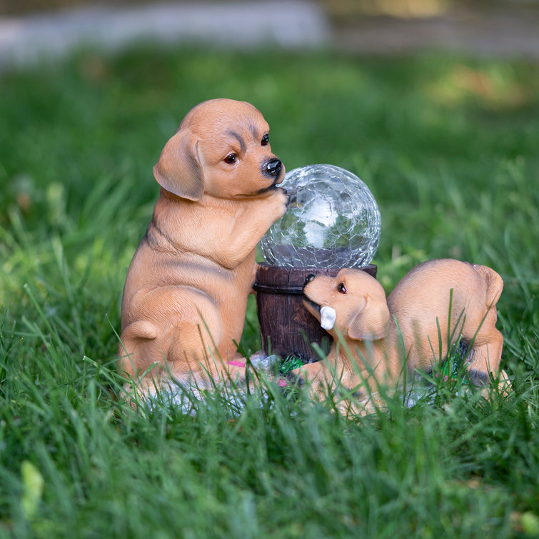 Birthday presents sales for dog lovers